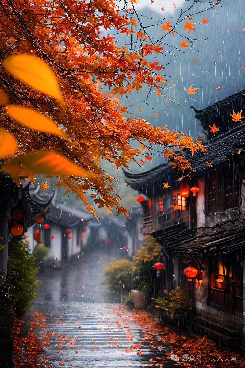  秋雨之雨