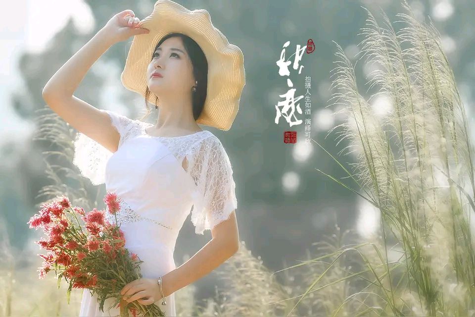 【昊昊海峽新幹線副刊】紅塵靜悟 憶昔秋戀（作者 : 昊昊/中國臺灣）……莲叶之珠文学社（图4）