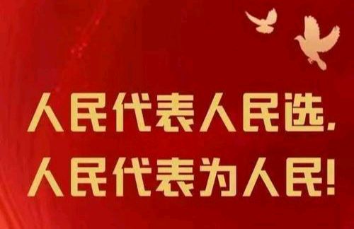 【新闻通讯】《一照存温情 同心践民主——宝鸡市渭滨区桥南街道丽园路社区以小微服务赋能人大换届宣传工作》文/丽园路社区 编辑:巍巍昆仑(图8)