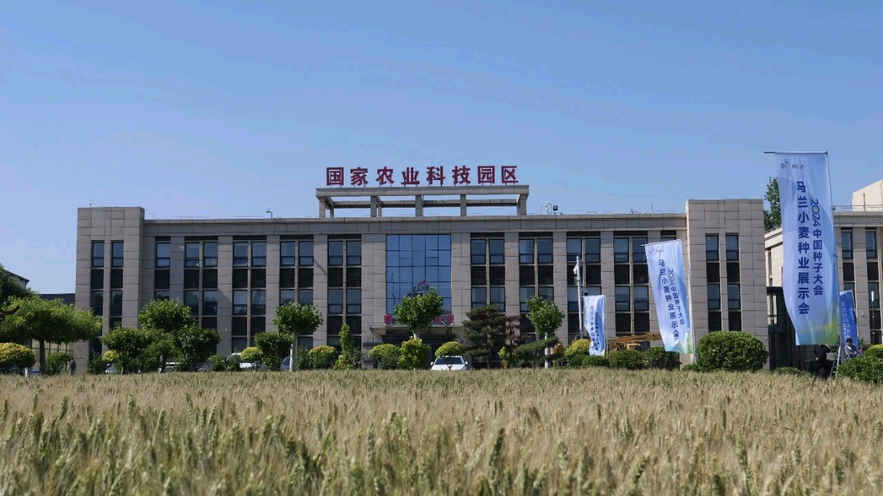 辛集市金鹿腾飞（市标）外三首 文/董义敏（图4）