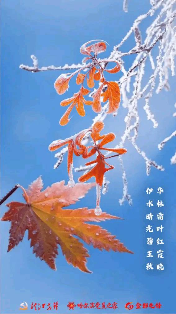 霜途【微小说】  作者/王金波(黑龙江)