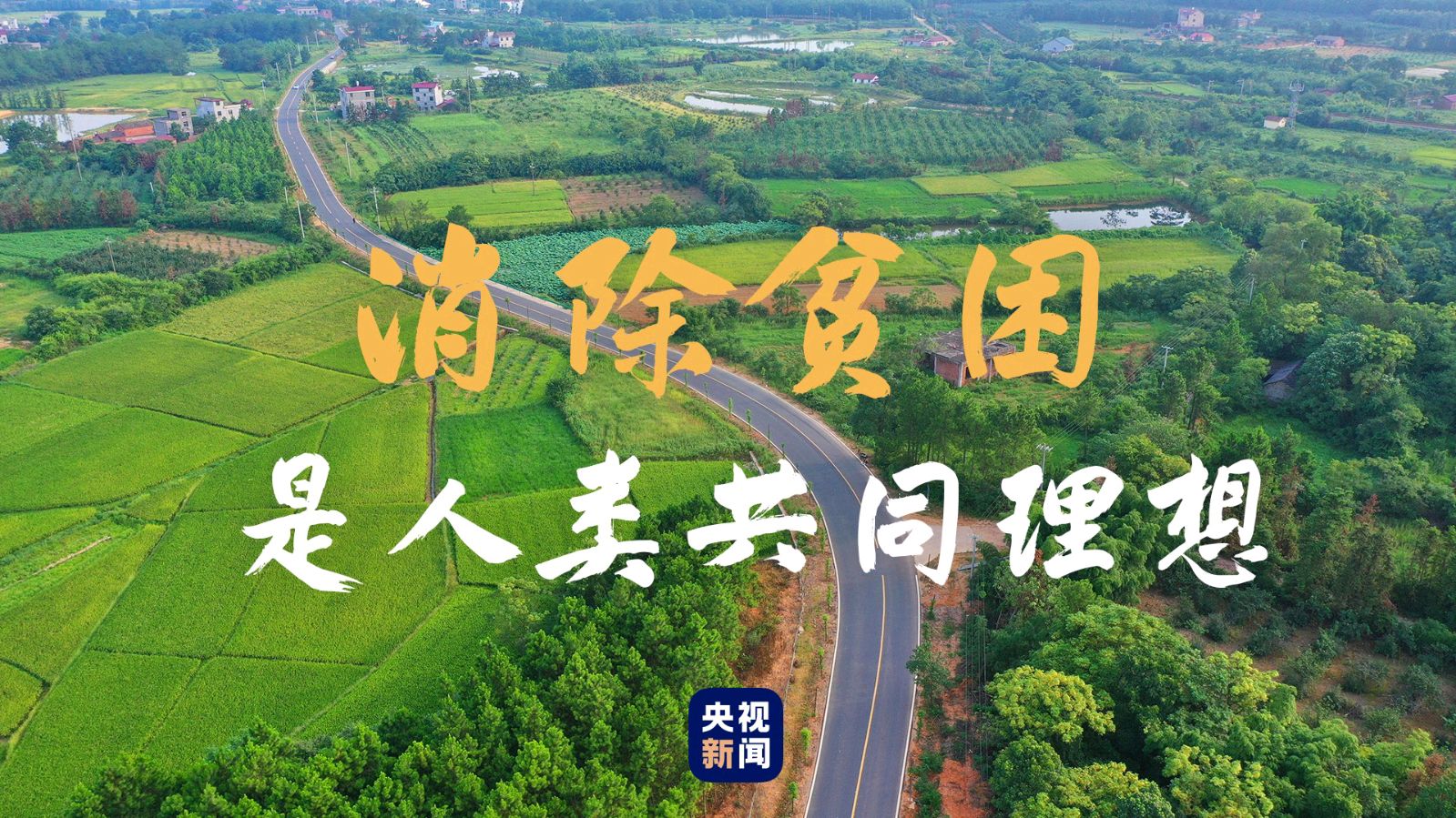 【散文】《把灯留给最后的人——写在第三十四个国际消除贫困日》作者: 强军/陕西宝鸡(图4)