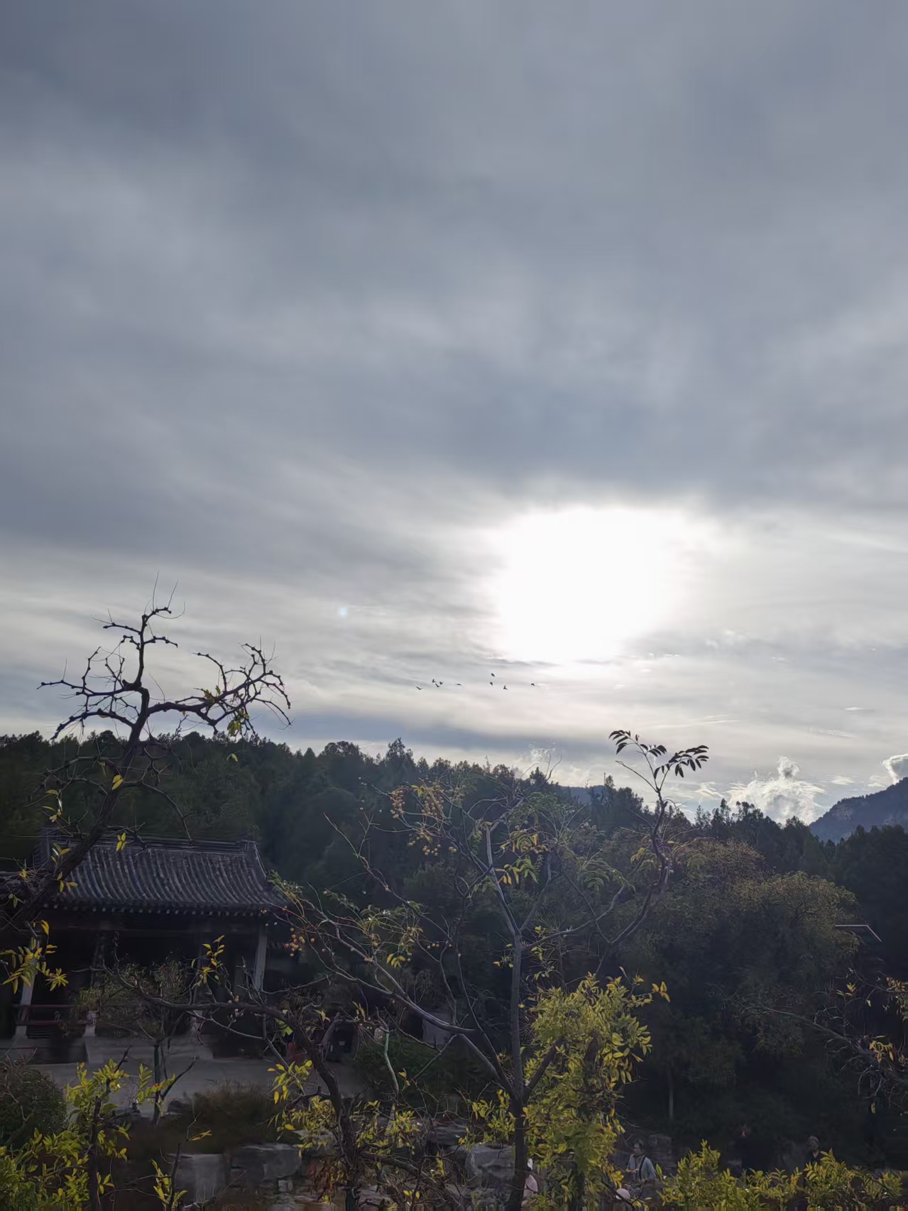 老叟重阳登千佛山述怀 // 韩庆云