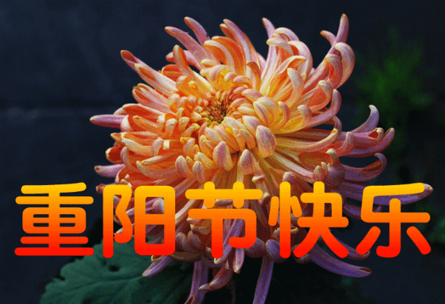沁园春《重阳》(外一首) 作者/赵增军（图3）