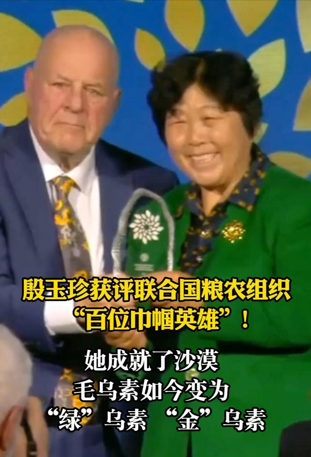 徐茂林诗选:大地的女儿——殷玉珍女士获联合国奖项有感(图3)