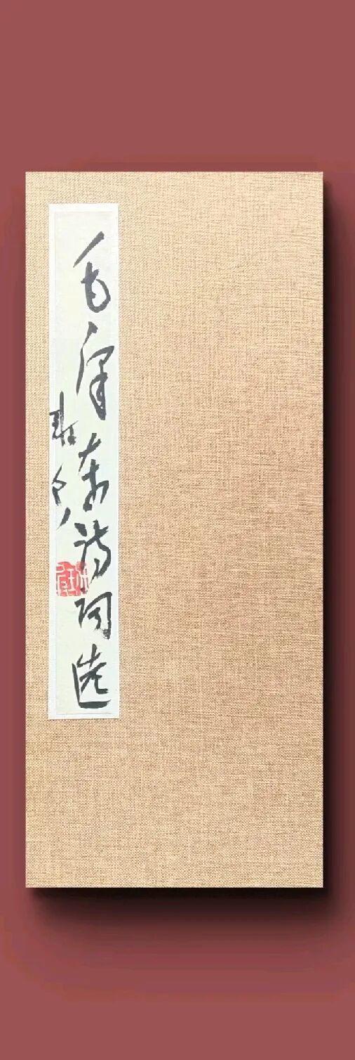 班 兵 | 新加坡人文艺术线上交流展特邀艺术家(图10)