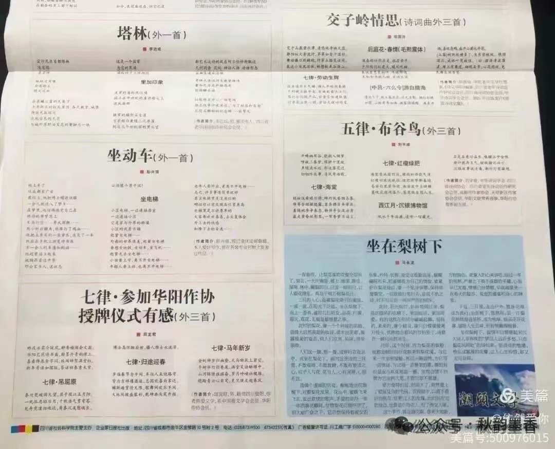 海外头条:《礼赞成都市新津区退教协会艺术团》文/米义勇(四川成都)(签约作家)(图9)
