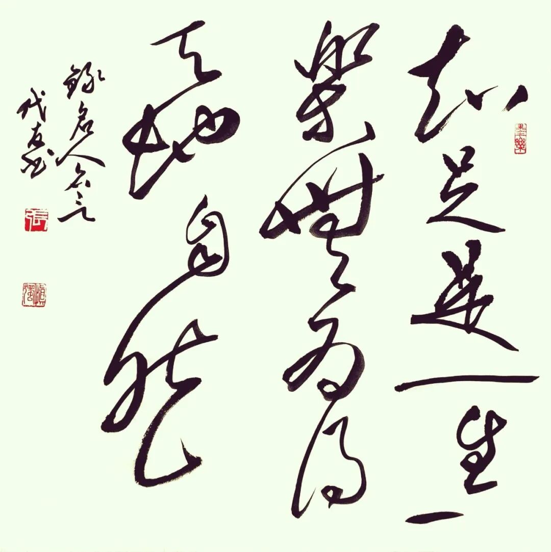 张代友 | 新加坡人文艺术线上交流展特邀艺术家(图18)