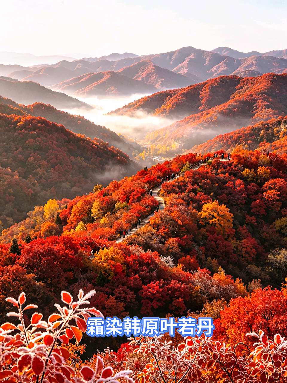 陕西作家李安民.七律·韩原霜降抒怀(图8)