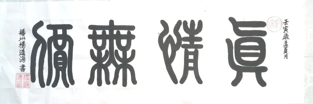 共和国十佳杰出艺术人物——杨通海（图5）