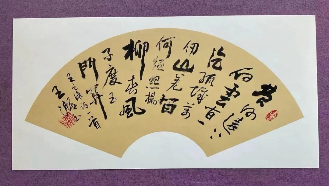 共和国十佳杰出艺术人物——王洁(图10)