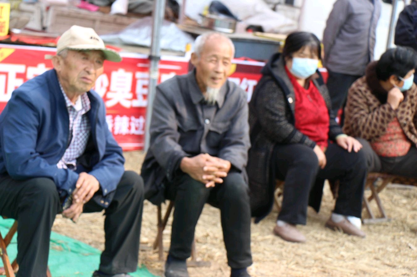 菊韵飘香迎盛会 文艺惠民暖人心(图8)