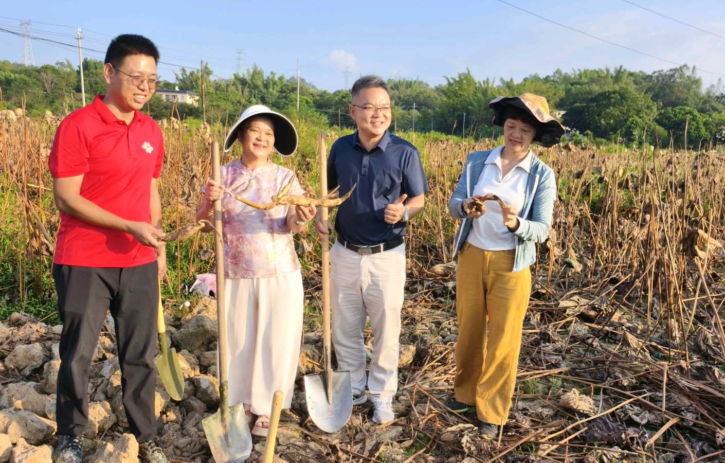 新圩镇领导率众挖藕（图12）