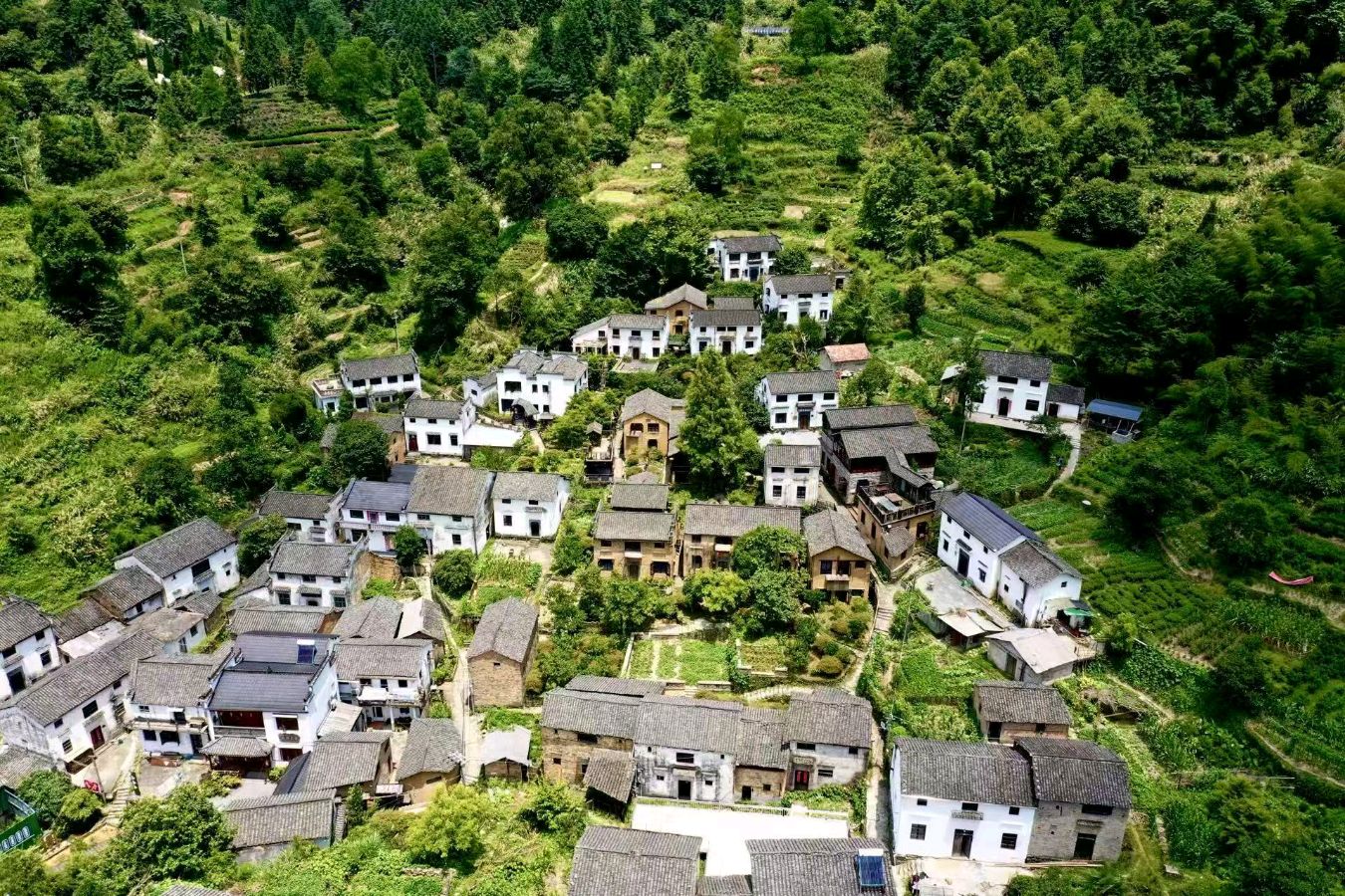 《我们有多少个十年——谨以此诗献给梦乡村十年庆》作者/关民 主播/许北雄 主编/胡琴(图6)