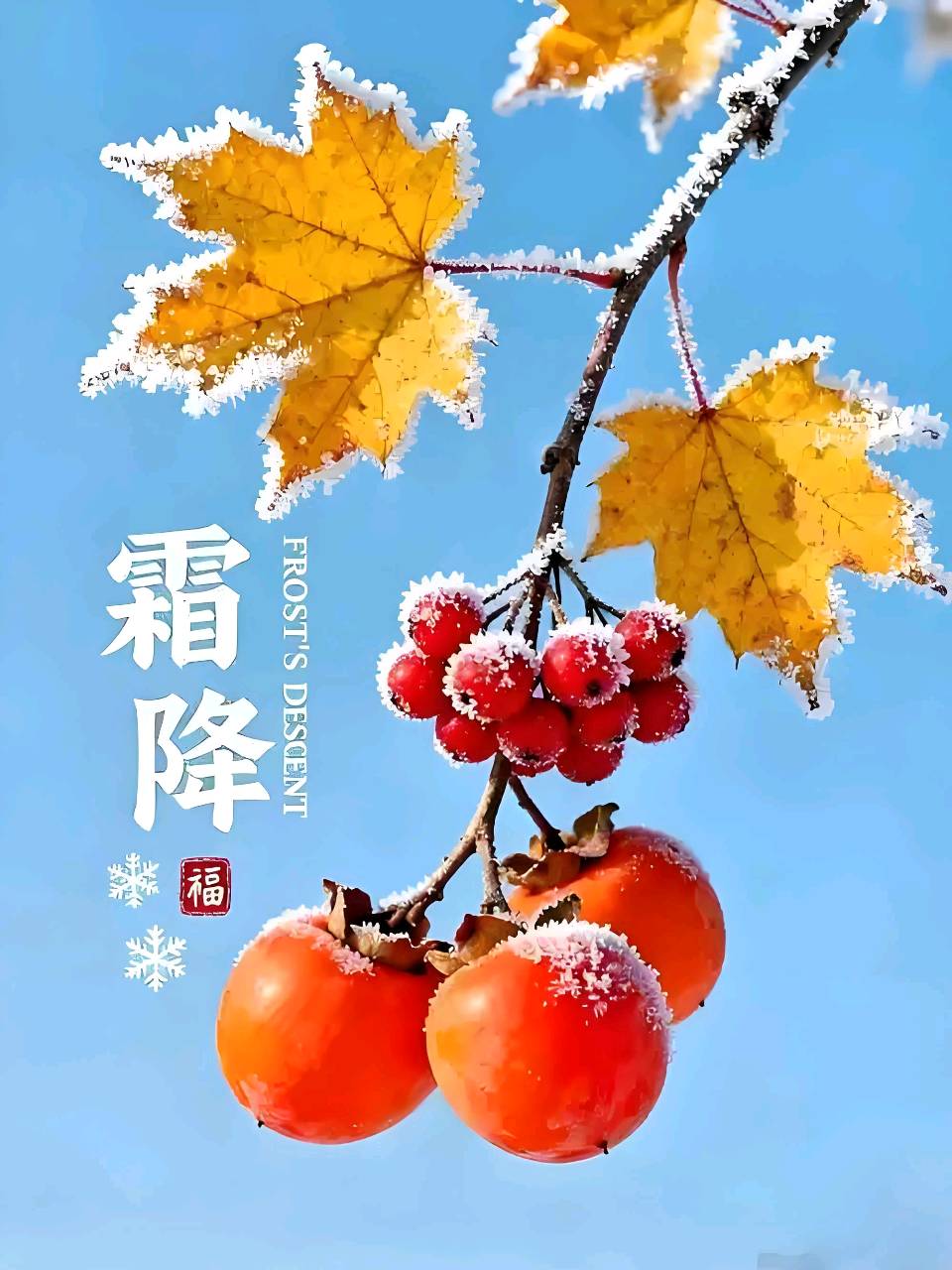 欣赏平湖老师的律诗·霜降（图2）
