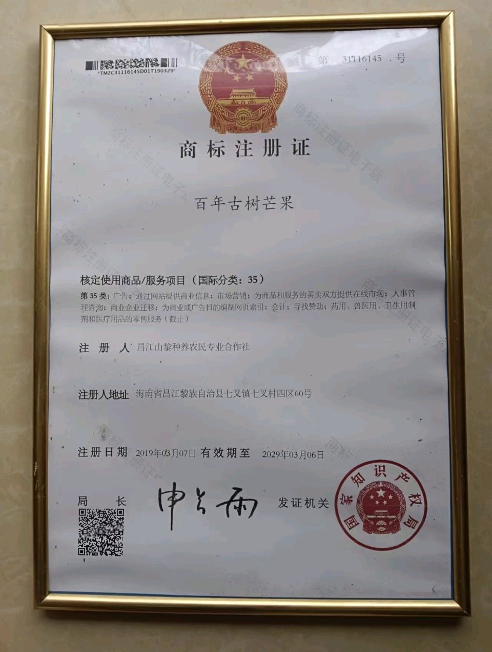 符天明丨一枝芒果带春香 千树繁荫覆昌江（图2）