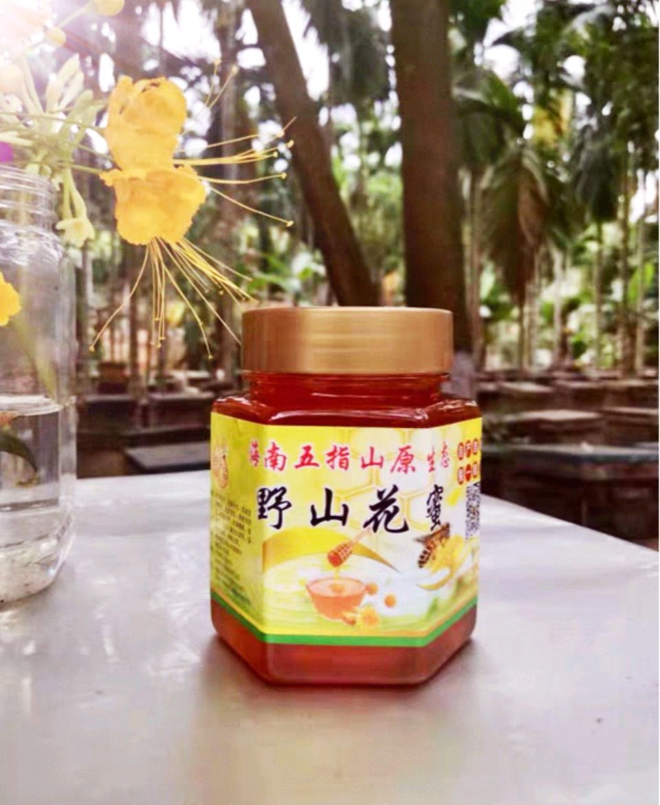 符天明丨一枝芒果带春香 千树繁荫覆昌江（图6）