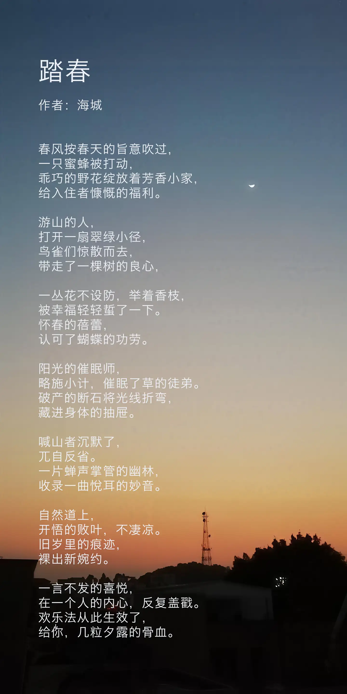 好诗欣赏|海城:《踏春》《自然道上皆有秩序》《玩具熊》(图2)