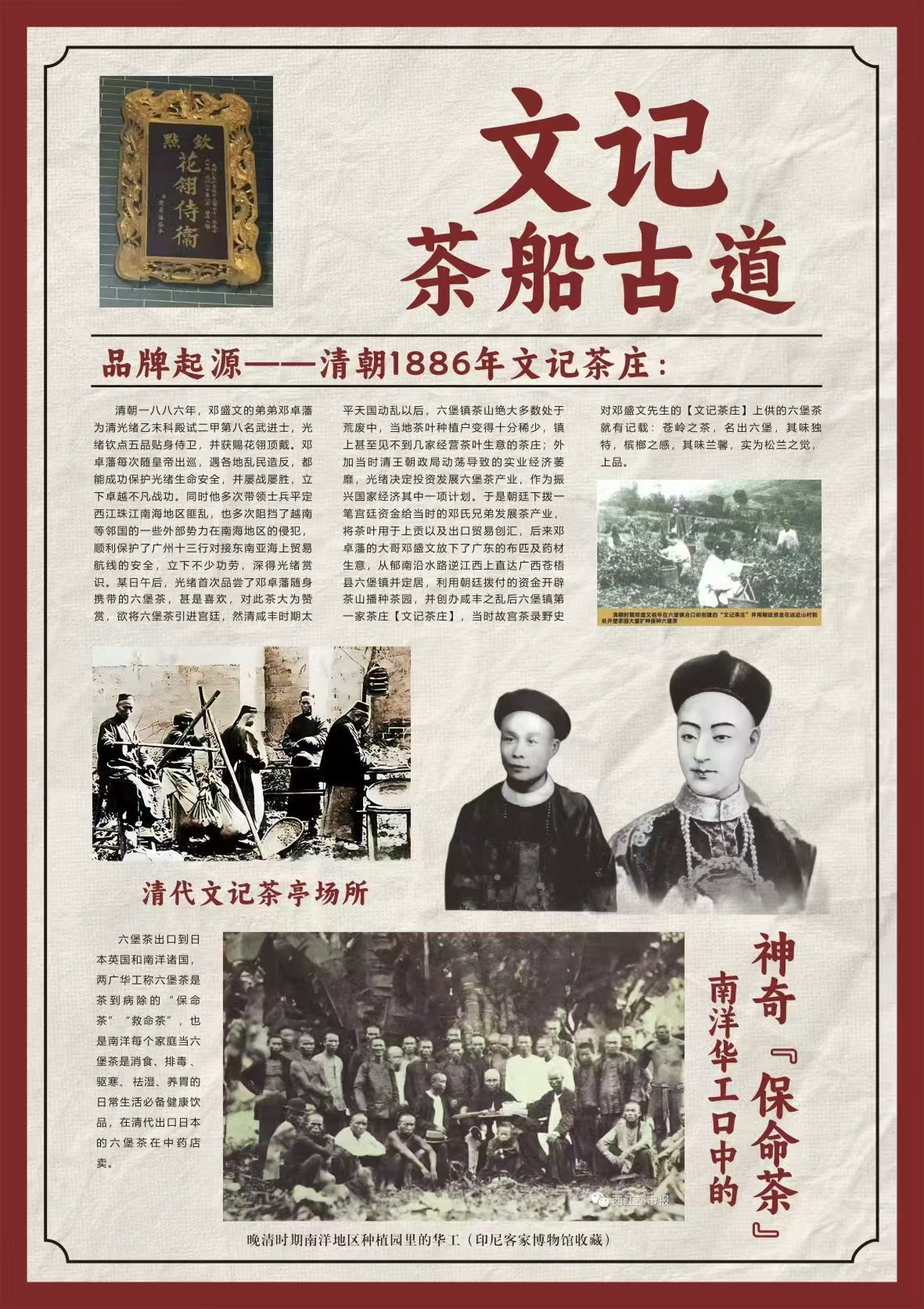 六堡茶不仅是一杯茶,更是一段跨越山海的文化记忆(图4)