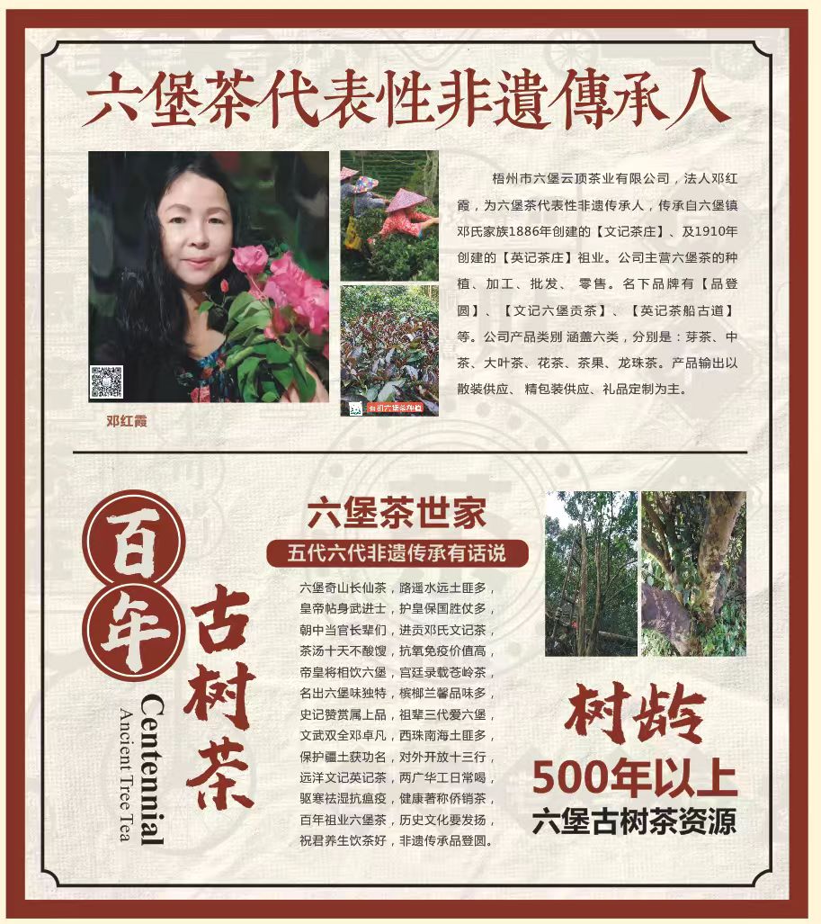 六堡茶不仅是一杯茶,更是一段跨越山海的文化记忆(图2)