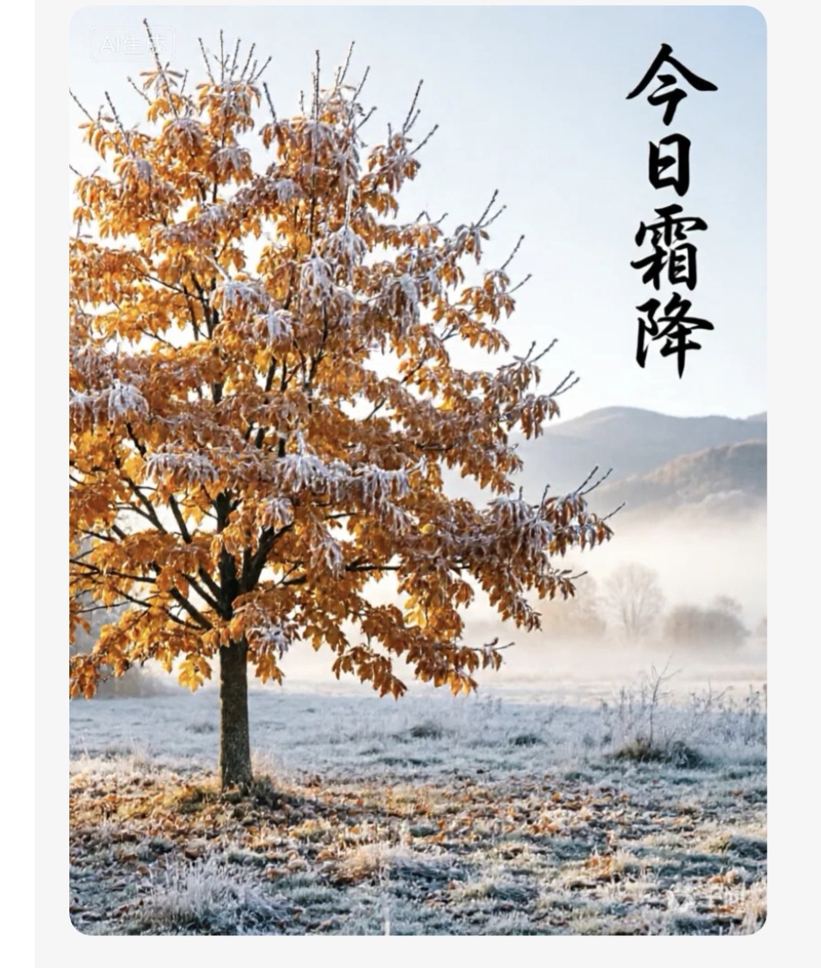 鼎阅荟健康:霜降养生全攻略:气候、身体与慢病防护