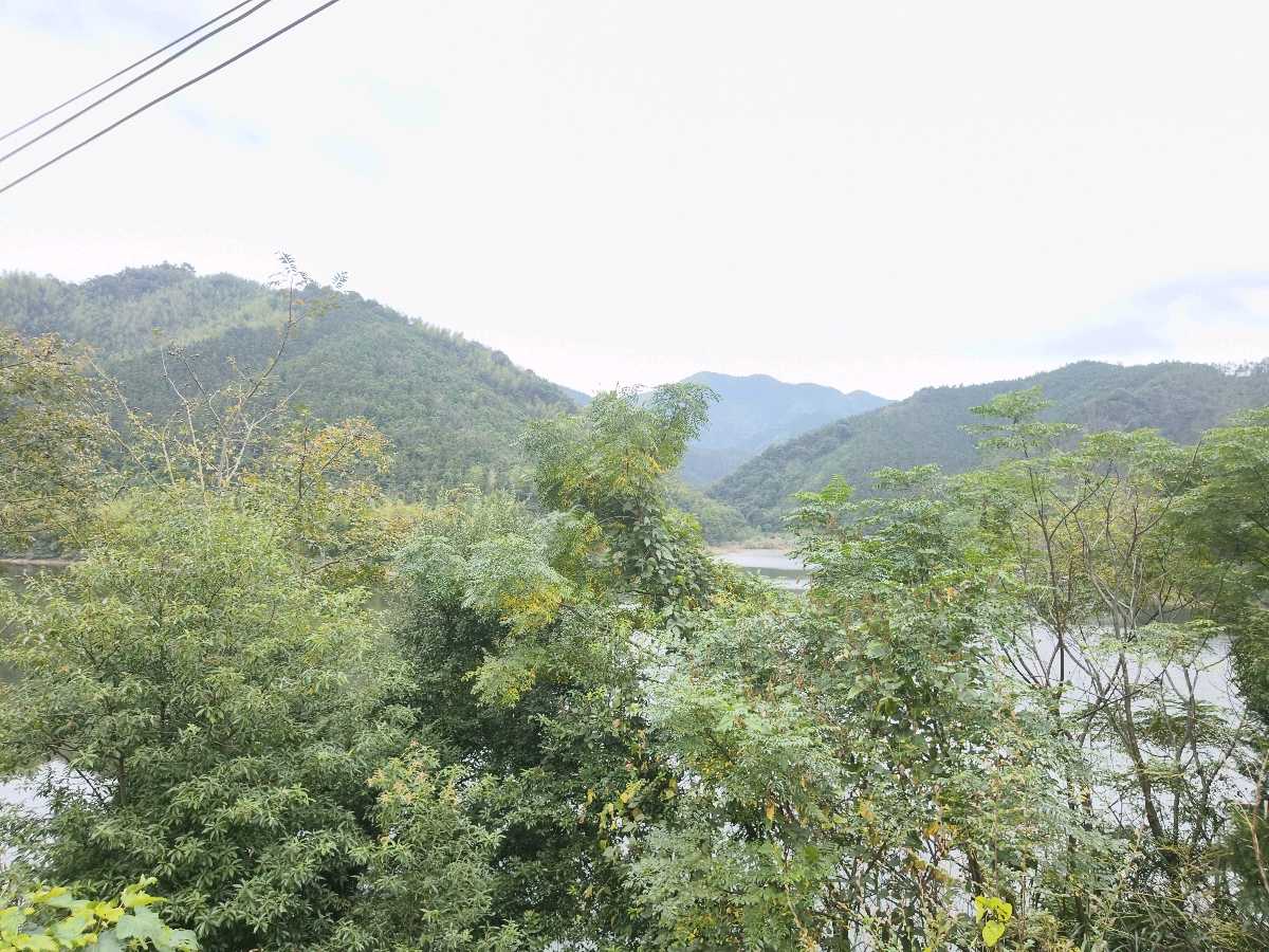 江西大余:解放湖畔袁糕香(图11)
