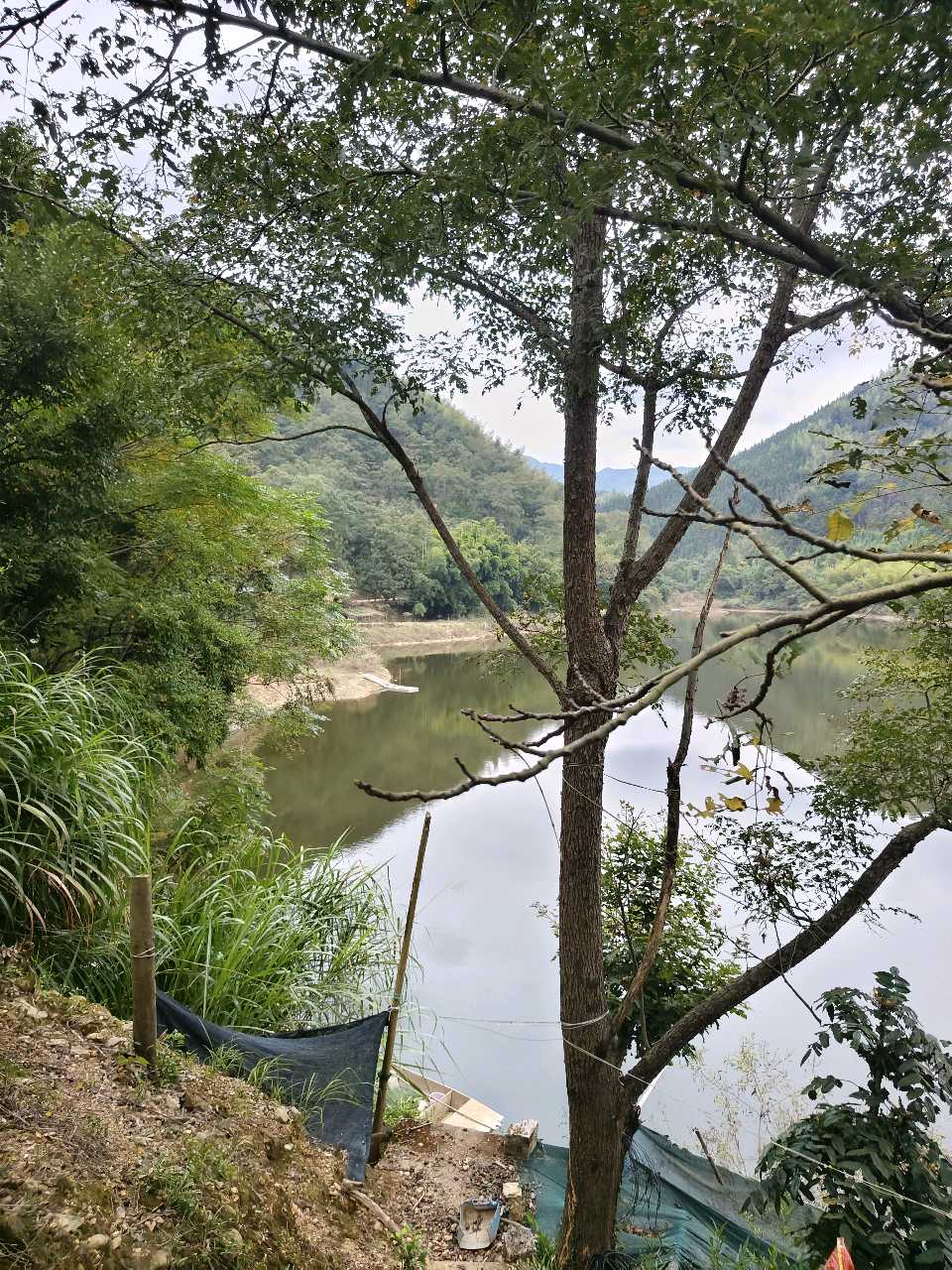江西大余:解放湖畔袁糕香(图26)