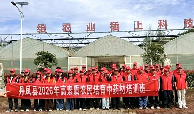 南阳市内乡郦邑贡菊:跨区研学拓思路 菊乡传经兴药产(图7)