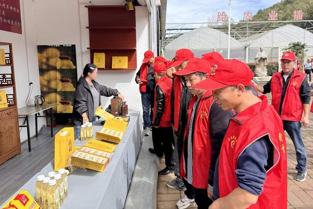 南阳市内乡郦邑贡菊:跨区研学拓思路 菊乡传经兴药产(图3)