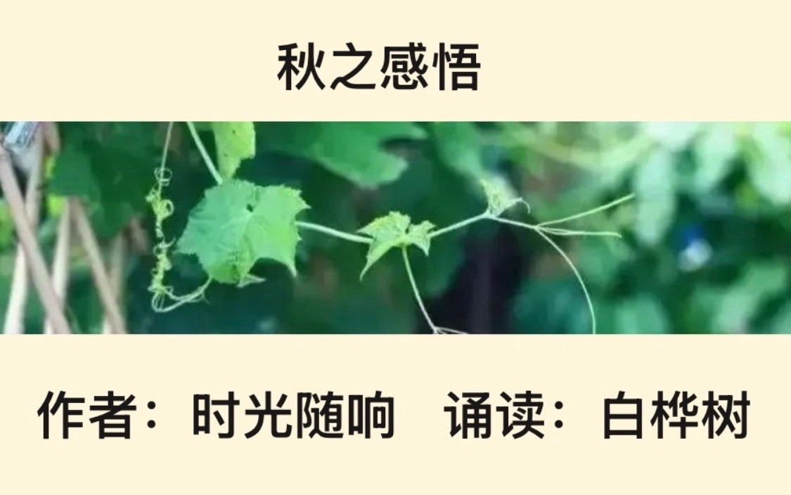 【卓然艺术联盟】秋之感悟｜作者：时光随响 诵读：白桦树（总3640期）（图5）