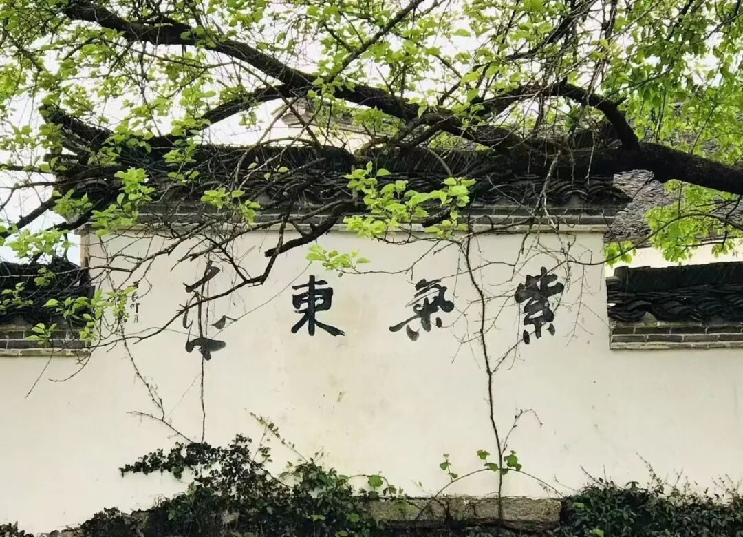 王涛《澄怀问道》中国当代百位书画名家丹青盛会（图26）