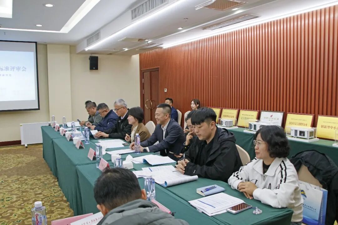 以标准创新赋能冰雪产业新赛道 国内首个寒地太空舱文旅装备生产标准于沈阳通过评审（图19）
