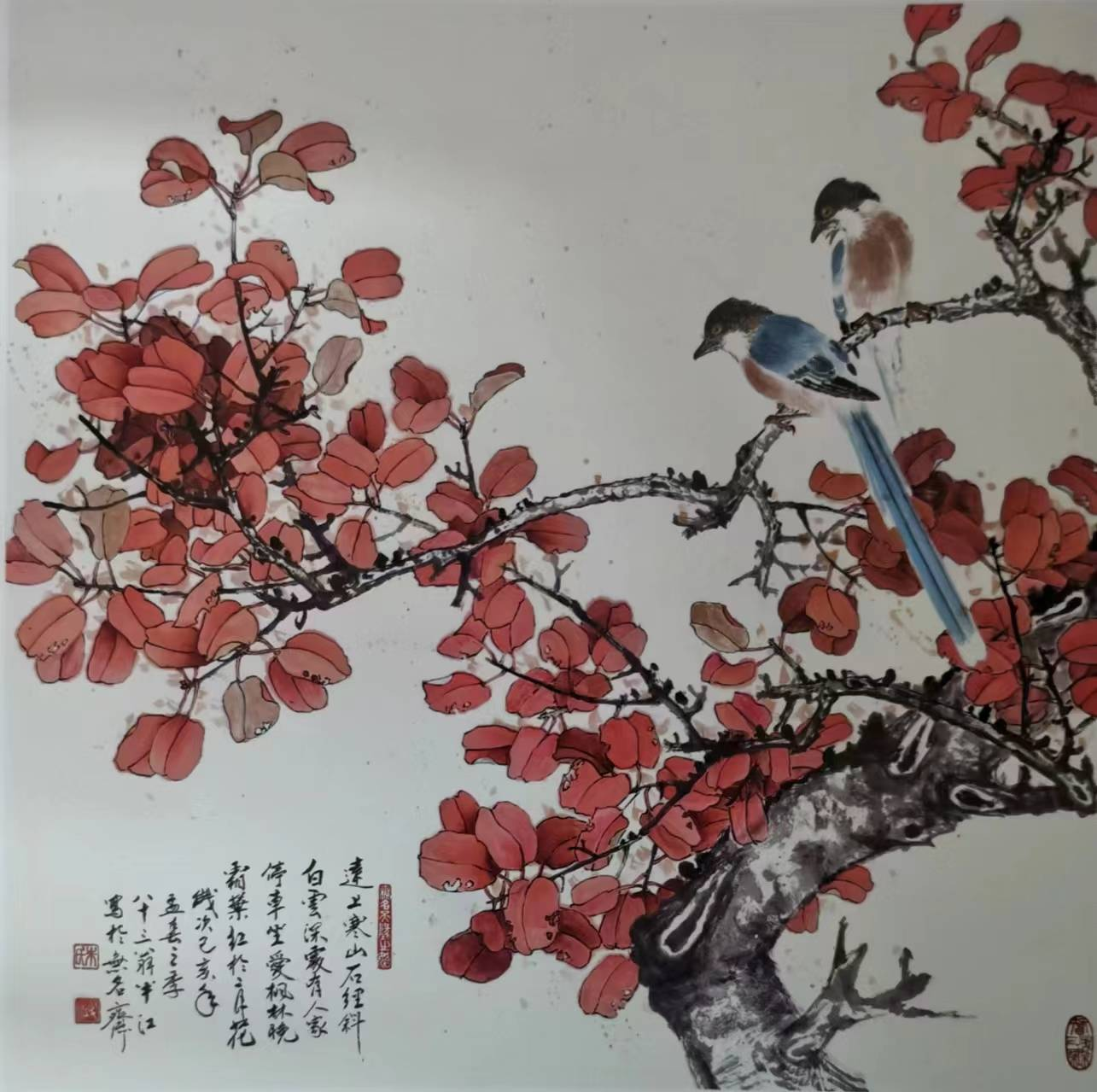 天南地北乐陵人 | 贾元科：根深叶茂朱学长（图2）