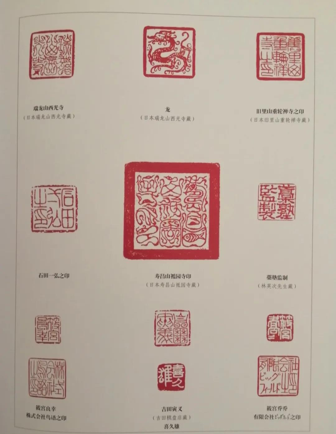 天南地北乐陵人 | 贾元科：根深叶茂朱学长（图10）