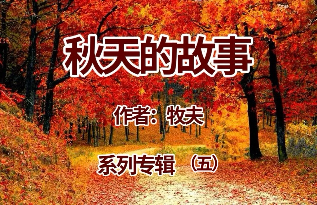 「诺贝尔诗葩」牧夫《秋天的故事》系列专辑之五【海外华英墨兰之声】（图4）