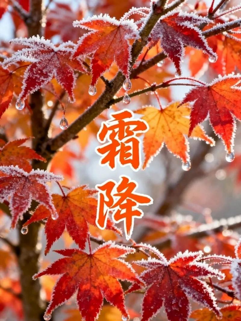images/2/2026/10/K9LkDqZ5Y5aETqEK5d9zH7tA5eD5a9.jpg
