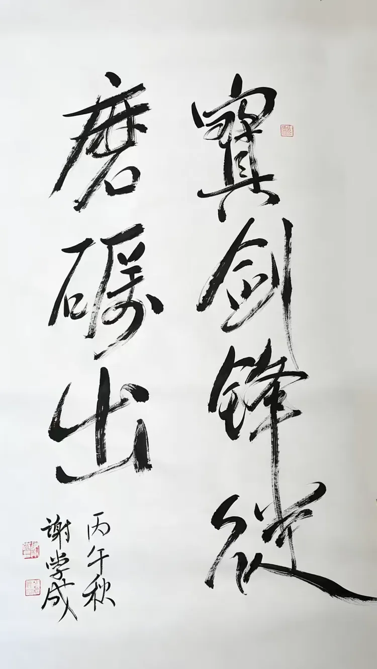 共和国十佳杰出艺术人物——谢学成(图19)