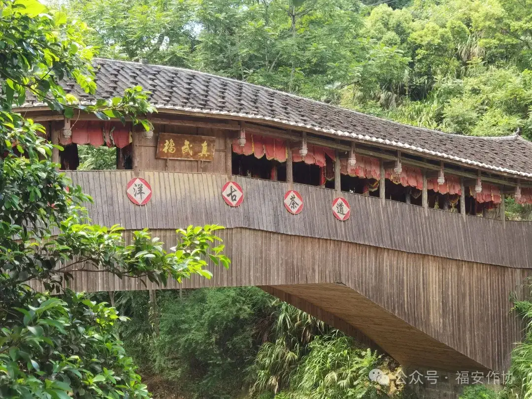 王久辛:闽东北撷境(图3)