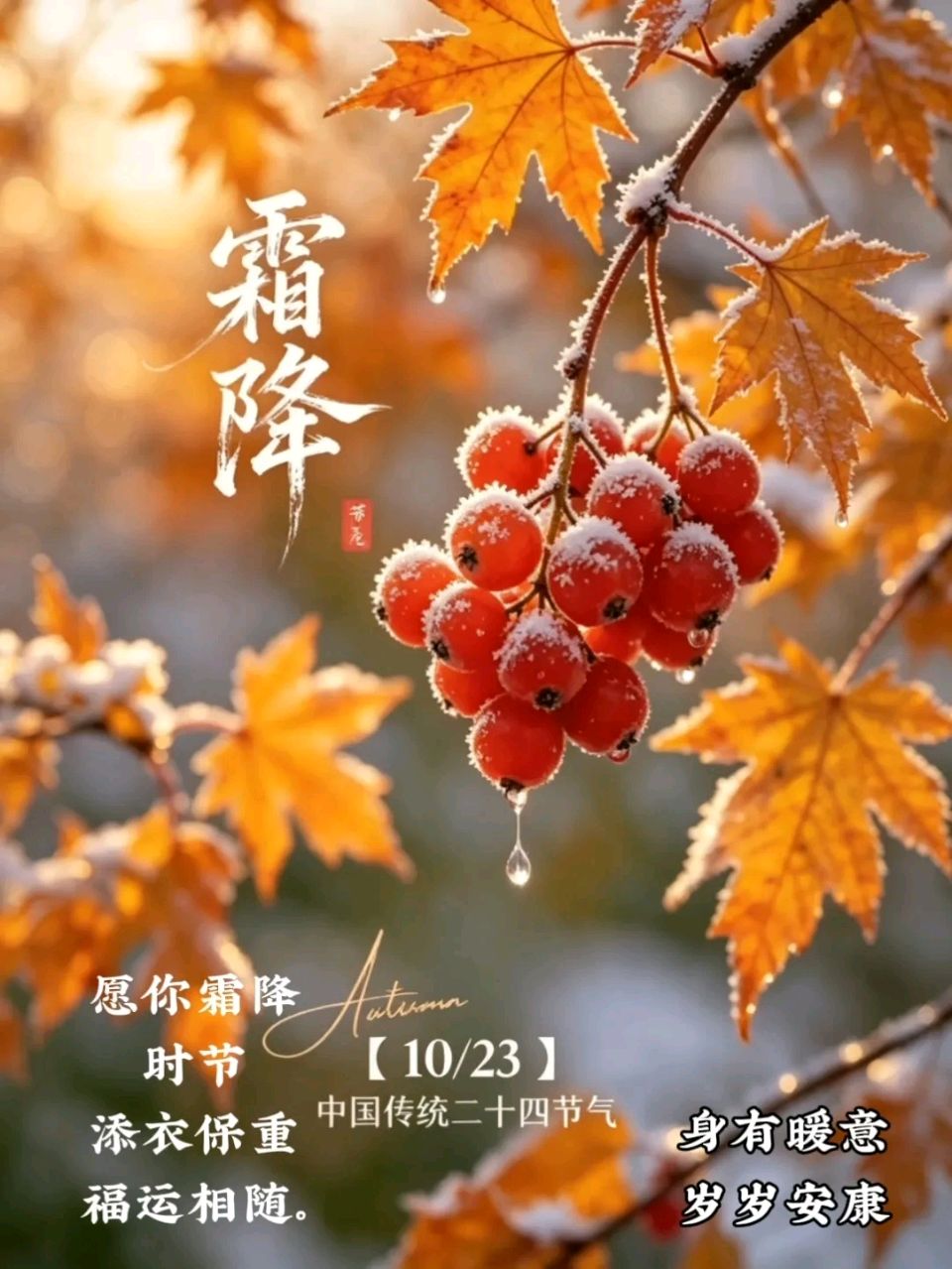 【昊昊海峽新幹線副刊】霜降水返壑 風落木歸山（作者 : 昊昊/中國臺灣）……莲叶之珠文学社（图3）