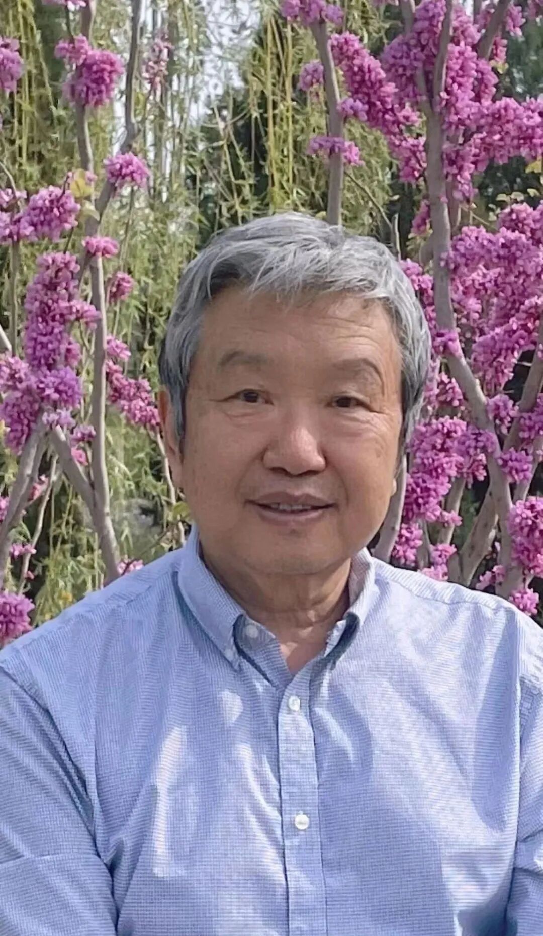 杨志恒《澄怀问道》中国当代百位书画名家丹青盛会（图5）