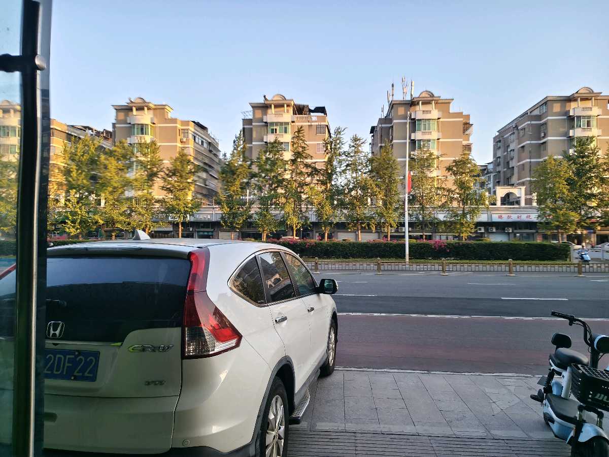 西西:石狮