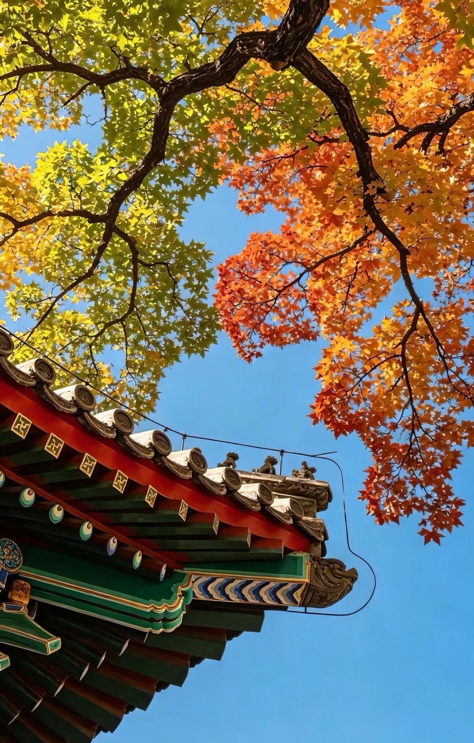 七绝·秋光漫赏 三首（文／三阳）（图2）