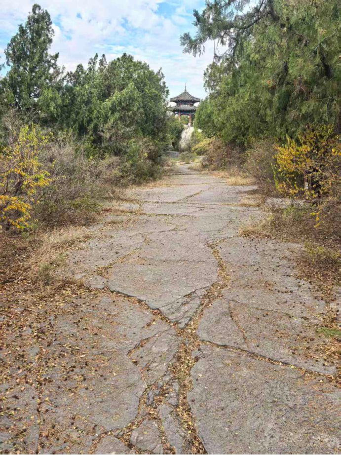 秋登千佛山,骨刻溯文源//丁再献(图4)