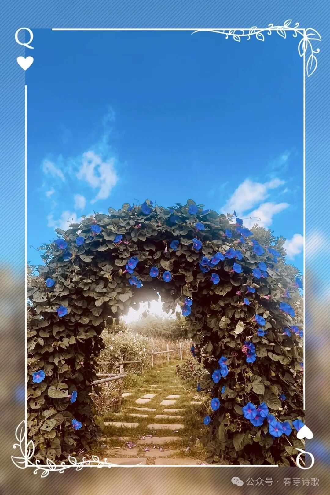 《春芽诗歌》总第三六四期//霜降：在收敛中辨认温热（图10）