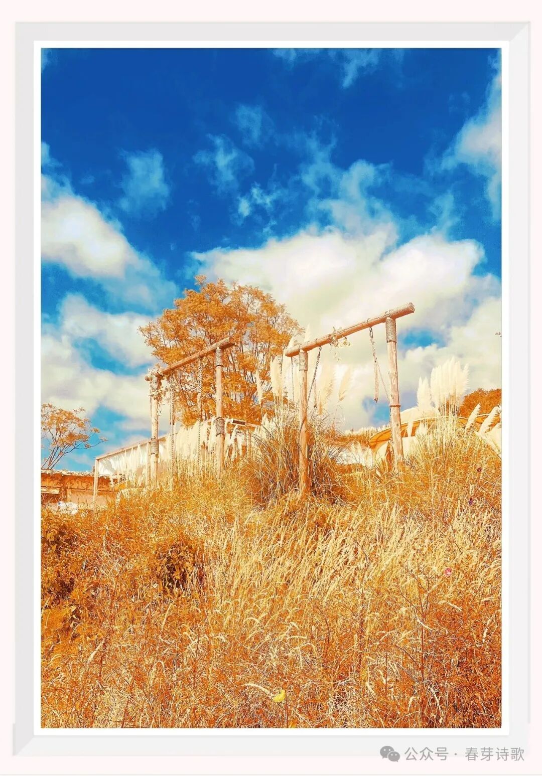 《春芽诗歌》总第三六四期//霜降：在收敛中辨认温热（图8）