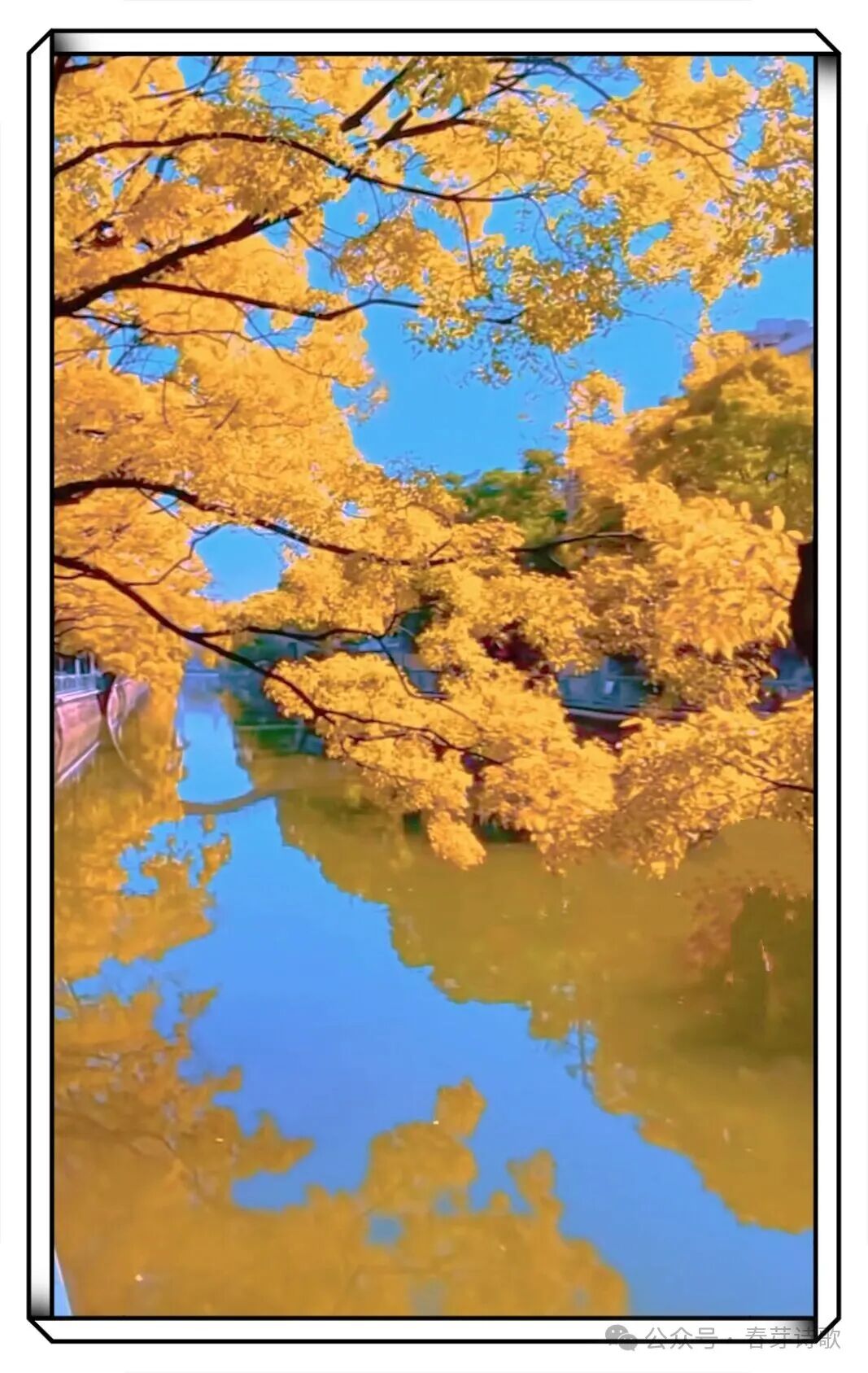 《春芽诗歌》总第三六四期//霜降：在收敛中辨认温热（图20）
