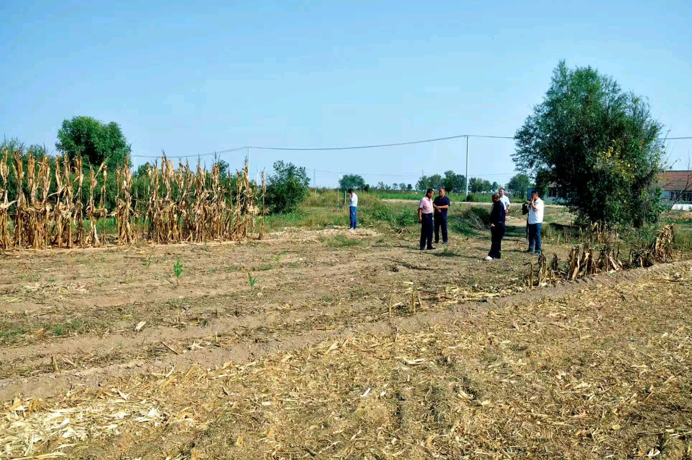赵明明：《利津县十六户赵氏家族祖籍地——滨州市沾化区罗家村考证纪实》（图8）