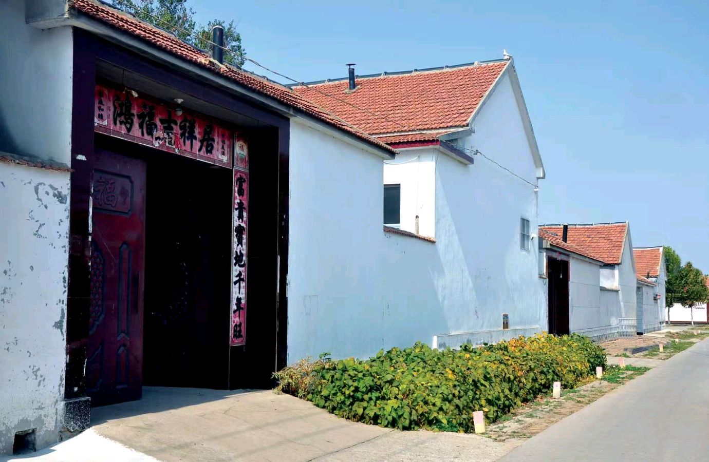 赵明明：《利津县十六户赵氏家族祖籍地——滨州市沾化区罗家村考证纪实》（图5）