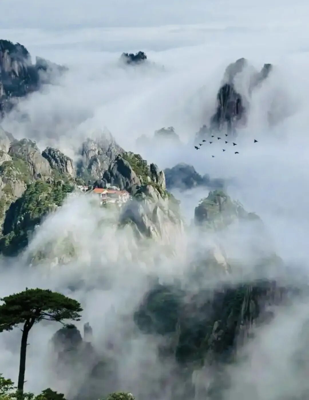 李佰虎《黄山大美》新月诗选（图10）