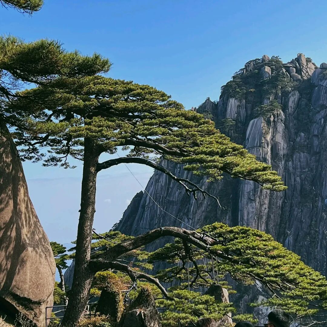 李佰虎《黄山大美》新月诗选